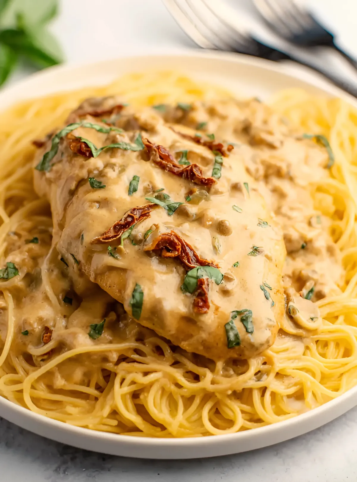 Chicken in creamy sauce on spaghetti