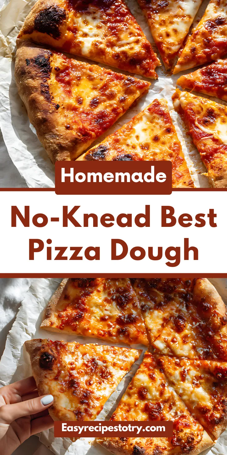 No-Knead Best Pizza Dough Recipe