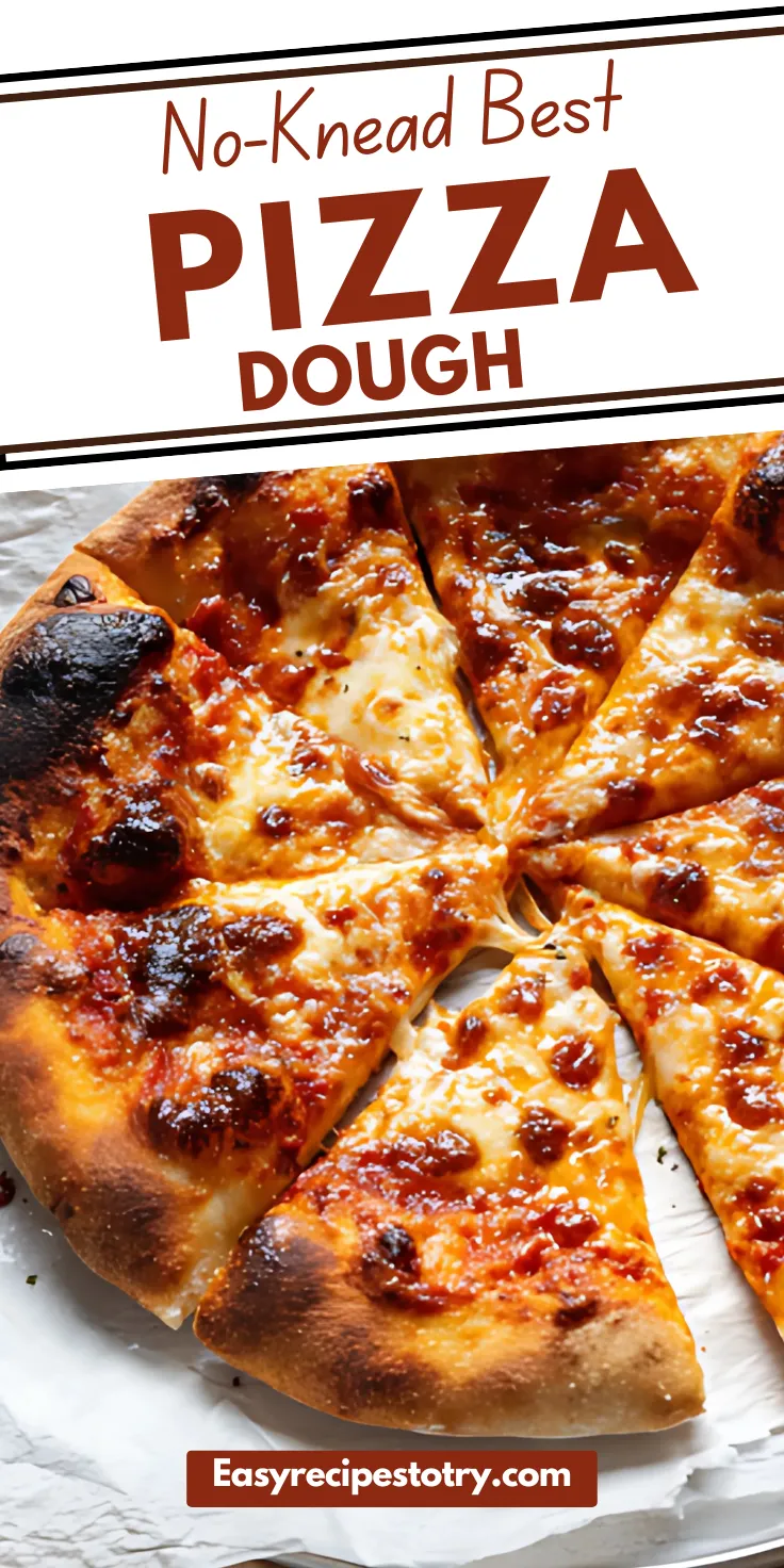 No-Knead Best Pizza Dough