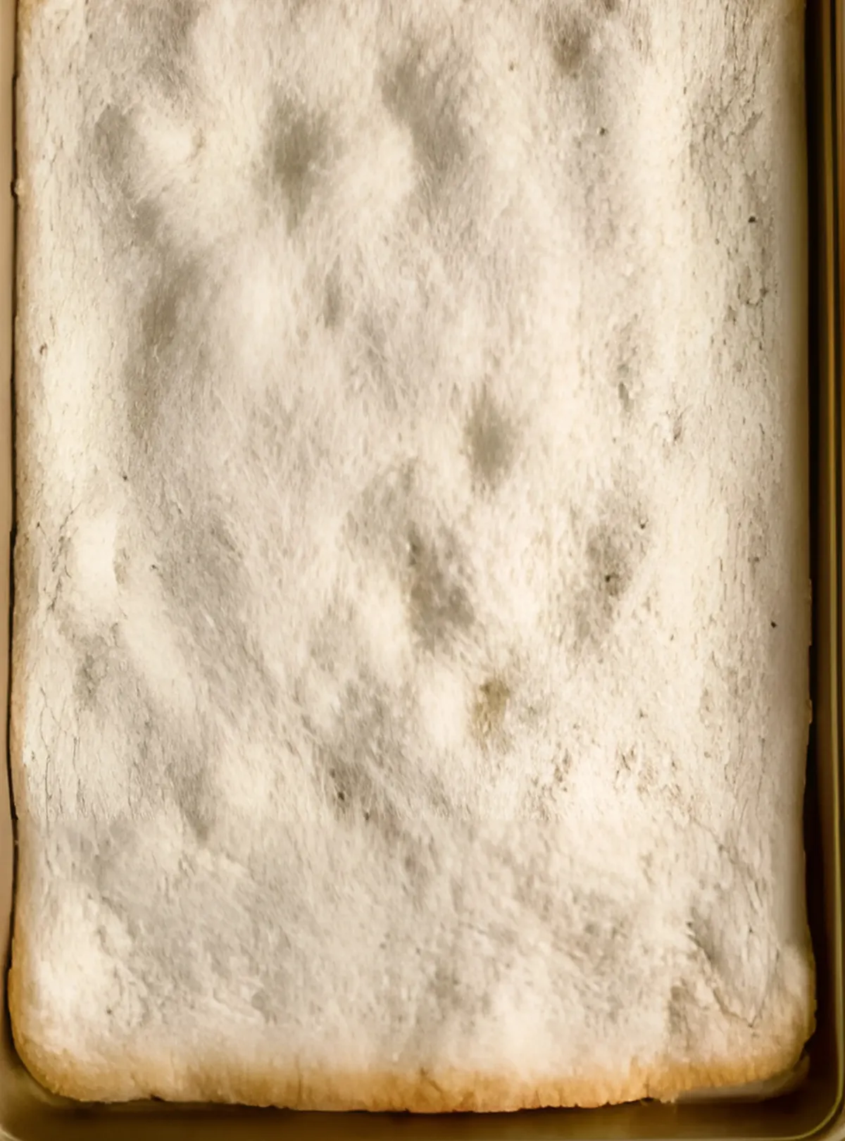 Par baked pizza crust on pan