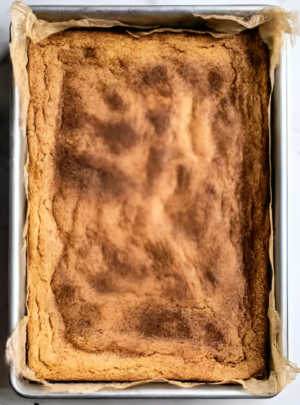 baked snickerdoodle blondie slab in pan