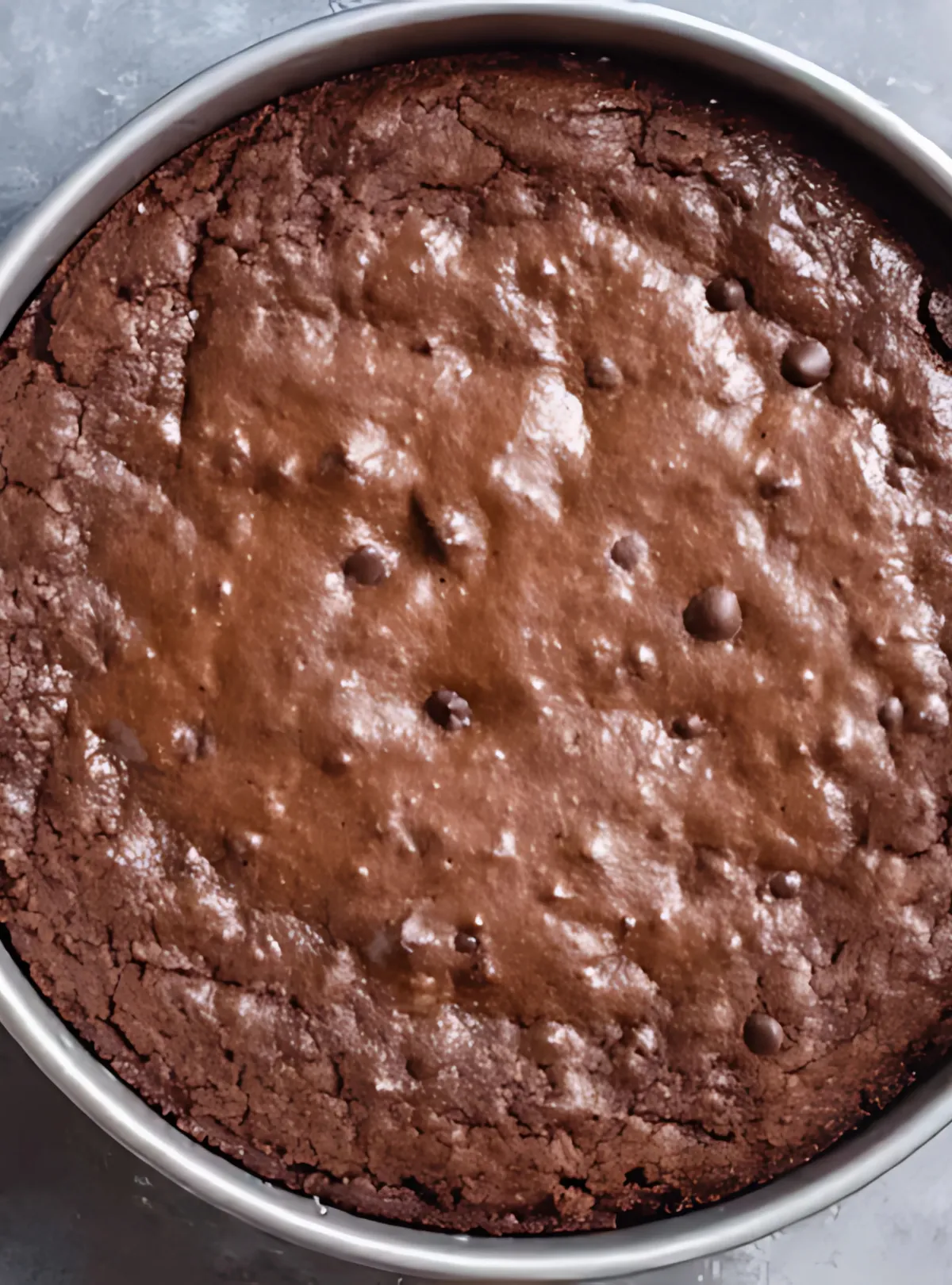 Baked brownies in pan