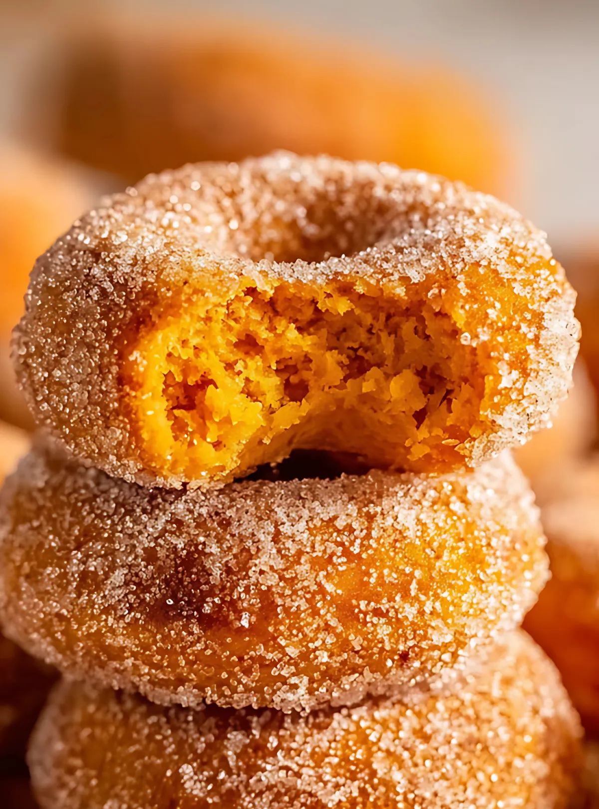 Bitten cinnamon sugar donut showing fluffy interior texture