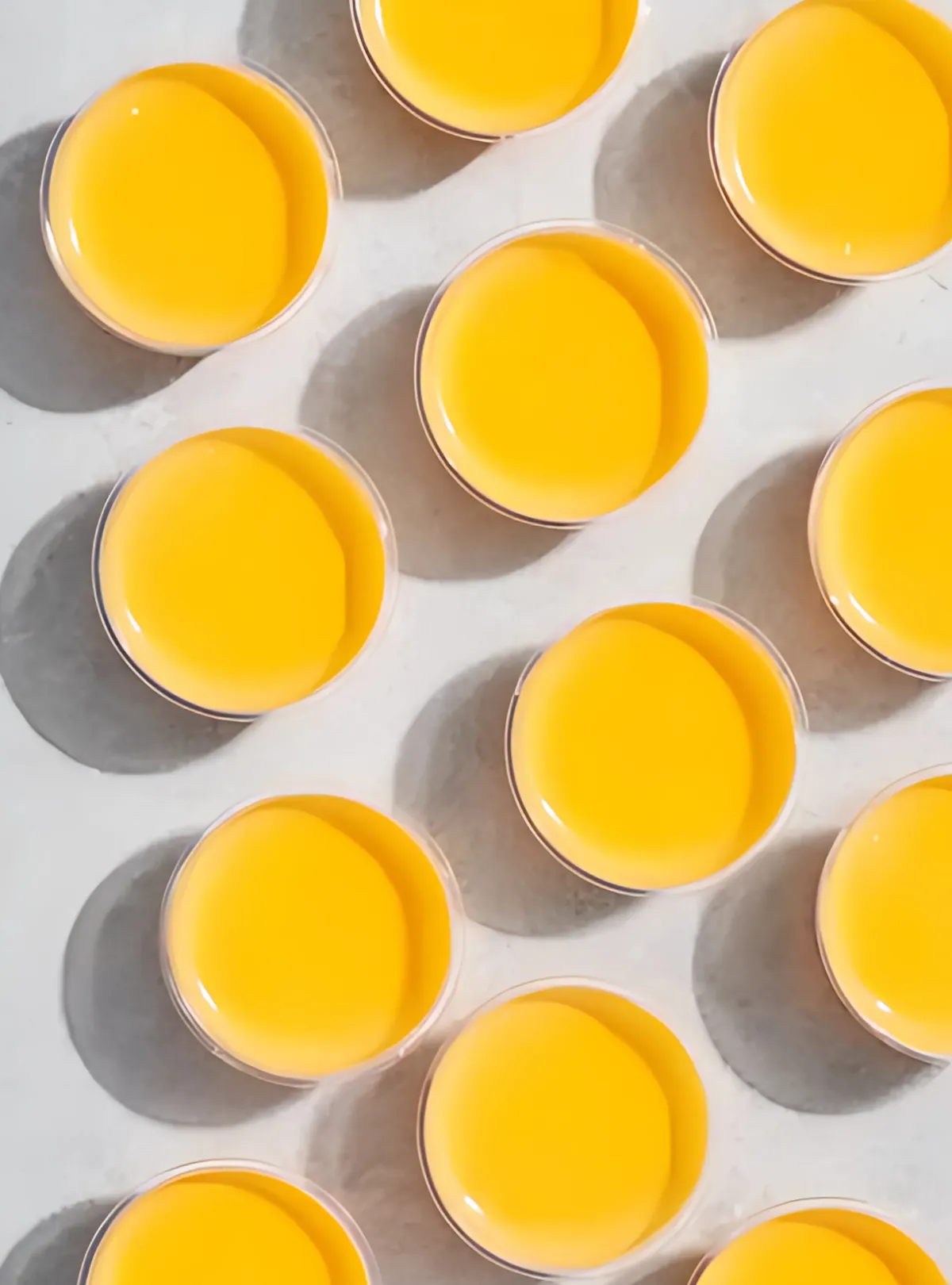 plain orange jello cups