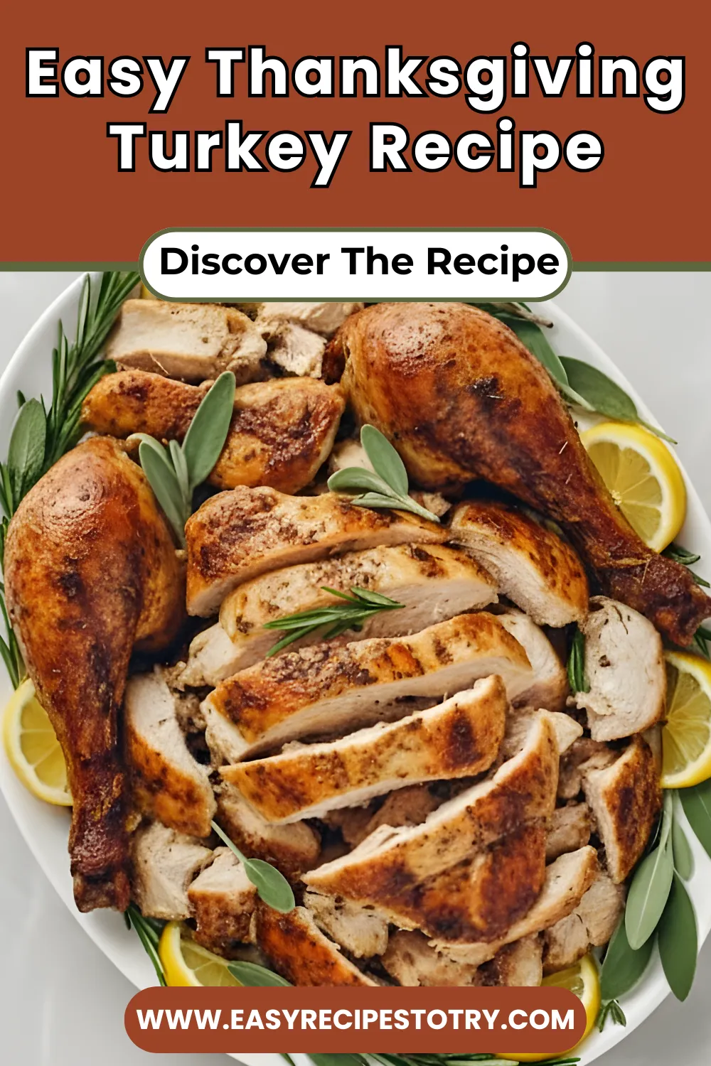 Easy Thanksgiving Turkey Recipe