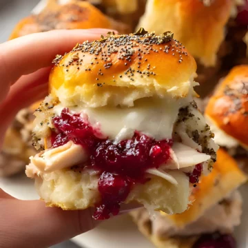 Turkey cranberry slider