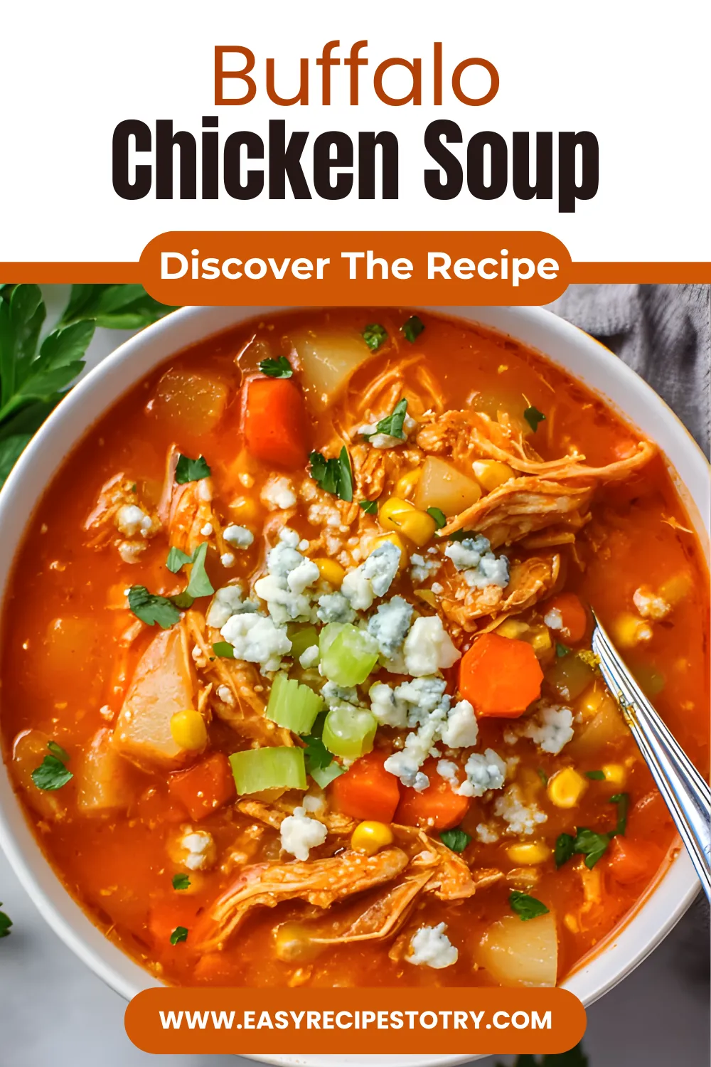 buffalo chicken soup CLOSE UP